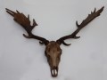 Grote skull eland 800